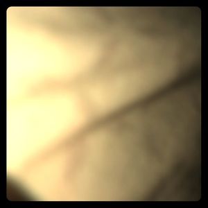 I’m selling my self